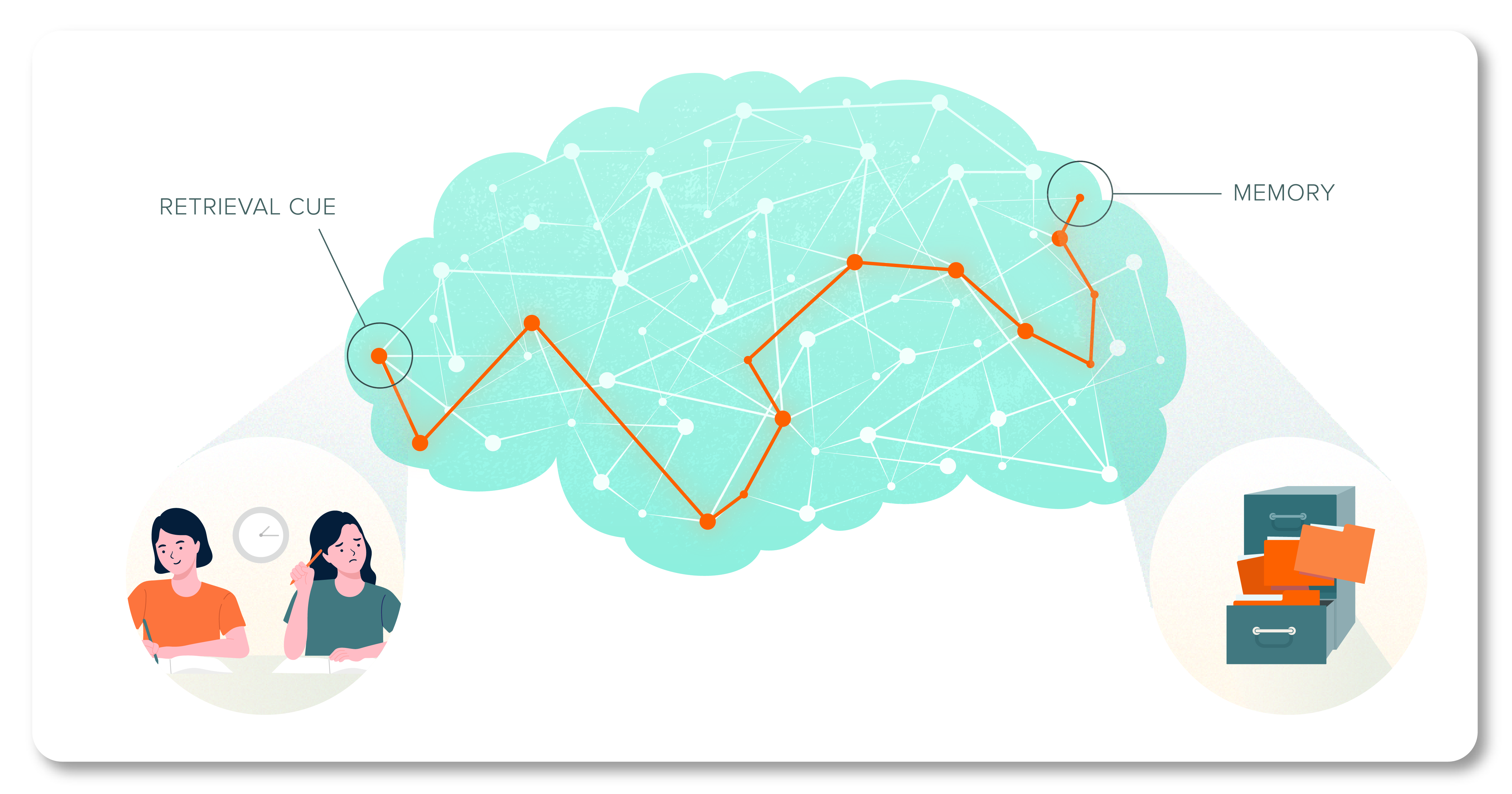 How retrieval practice works in the brain 