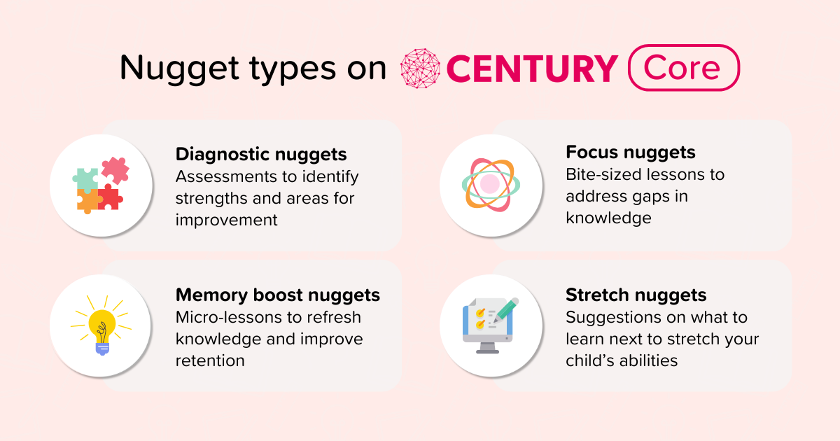 Nugget types on CENTURY Core