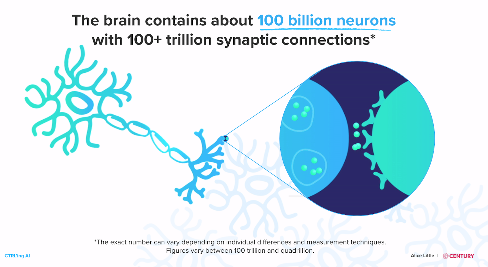 Image illustrating how the brain contains about 100 billions neurons with 100+ trillions synaptic connections